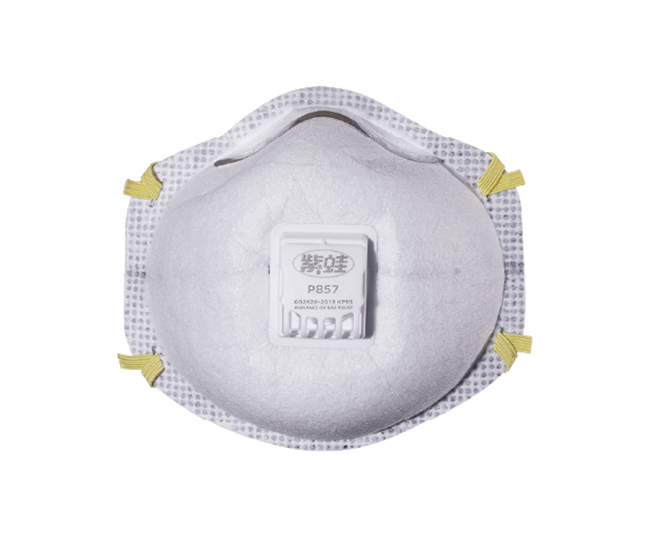 P857 KP95 Organic Odor and Particle Protection Mask